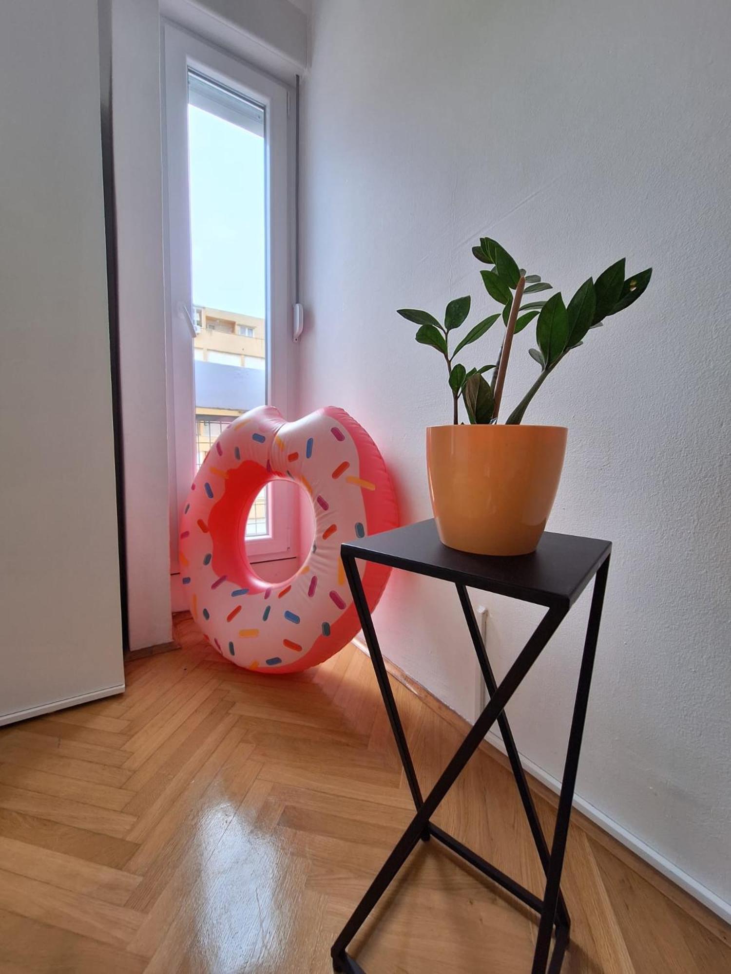 Apartment Mangus Split Dış mekan fotoğraf