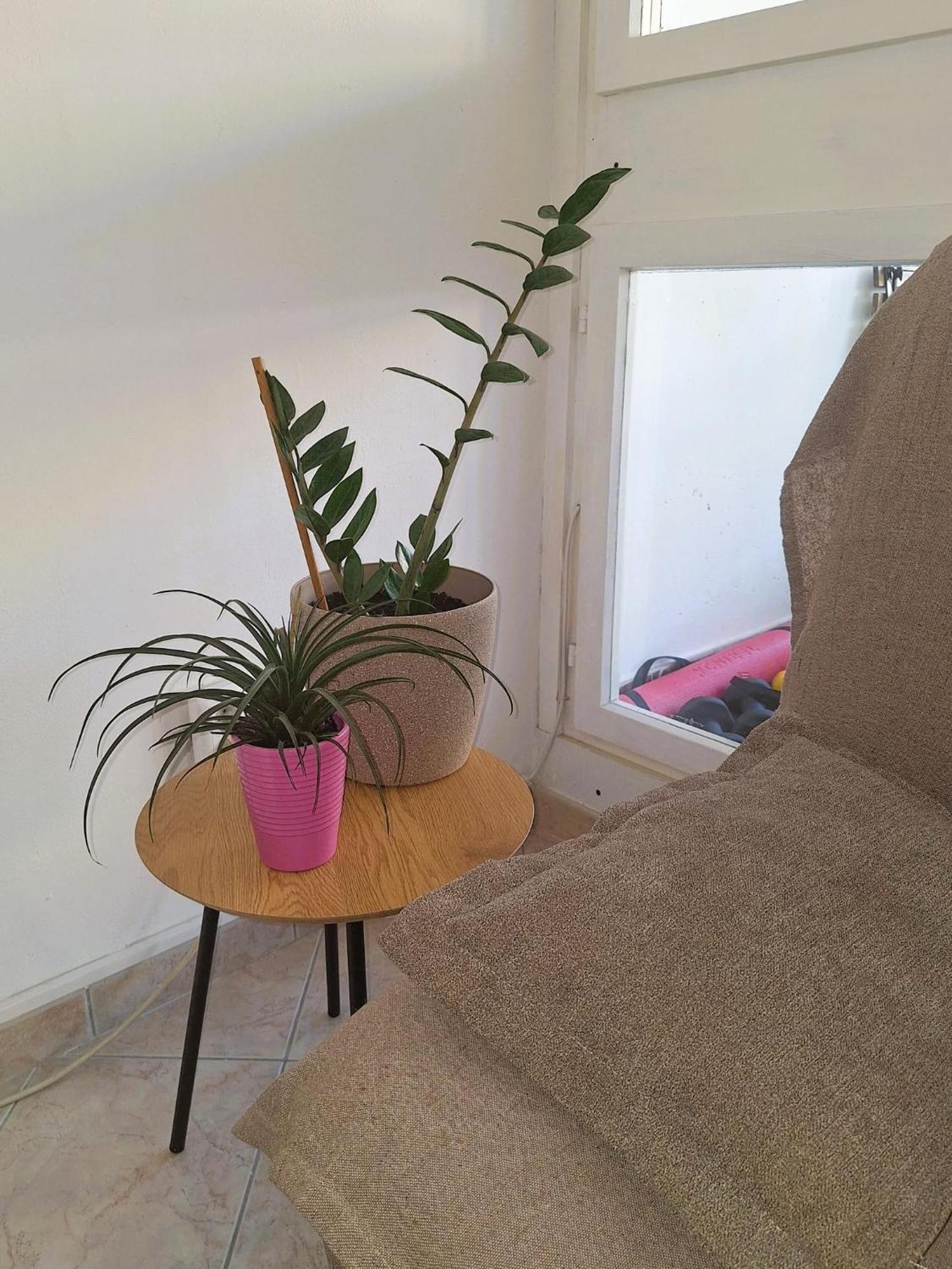 Apartment Mangus Split Dış mekan fotoğraf